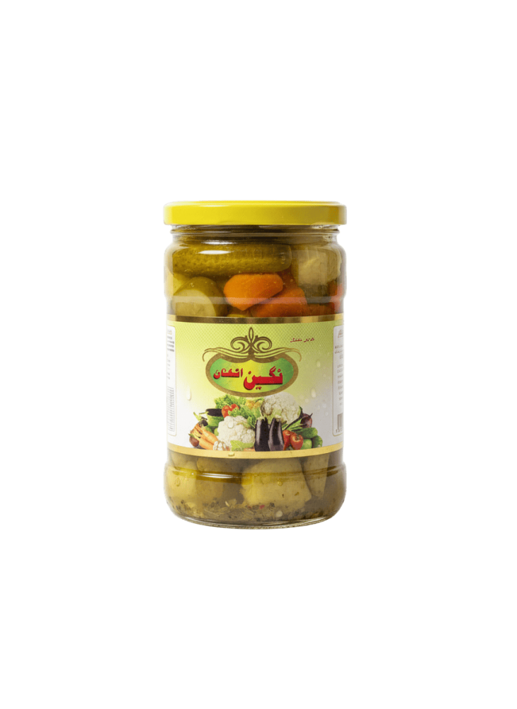 Nagin Ashkanan | Carton Of Large Mixed Pickles | 750g | 12 pcs