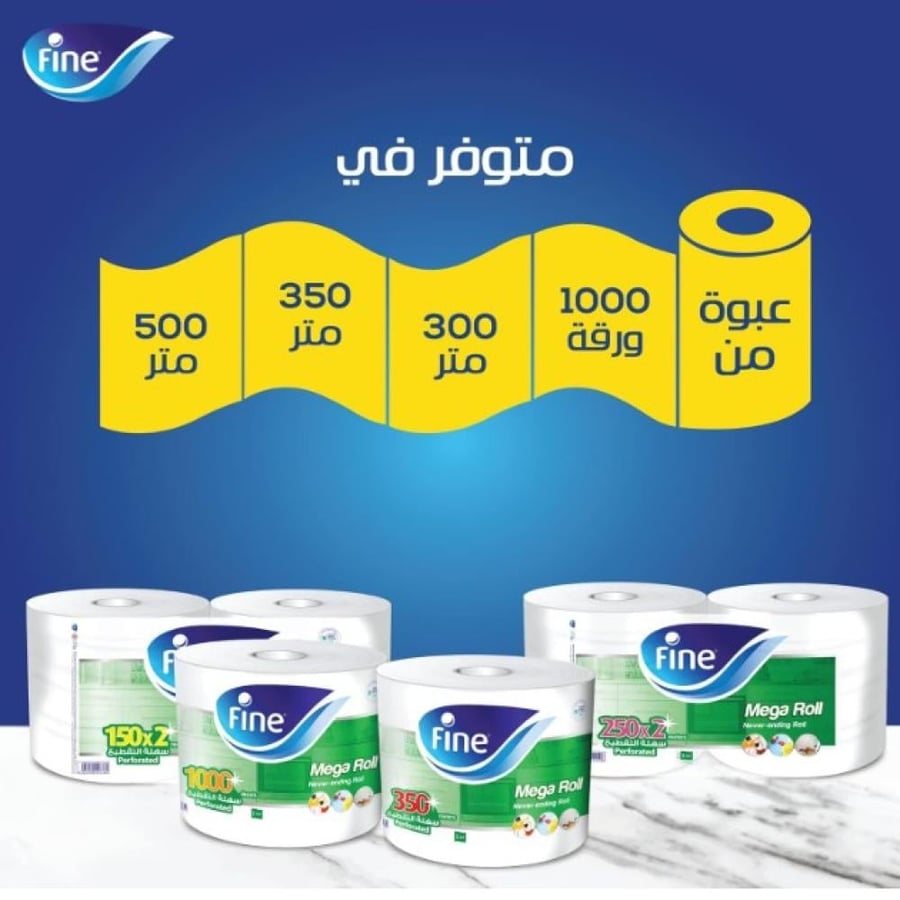 Fine | Bundle 10 Rolls Maxi Roll | 1000 Sheets | FNMR1000-10