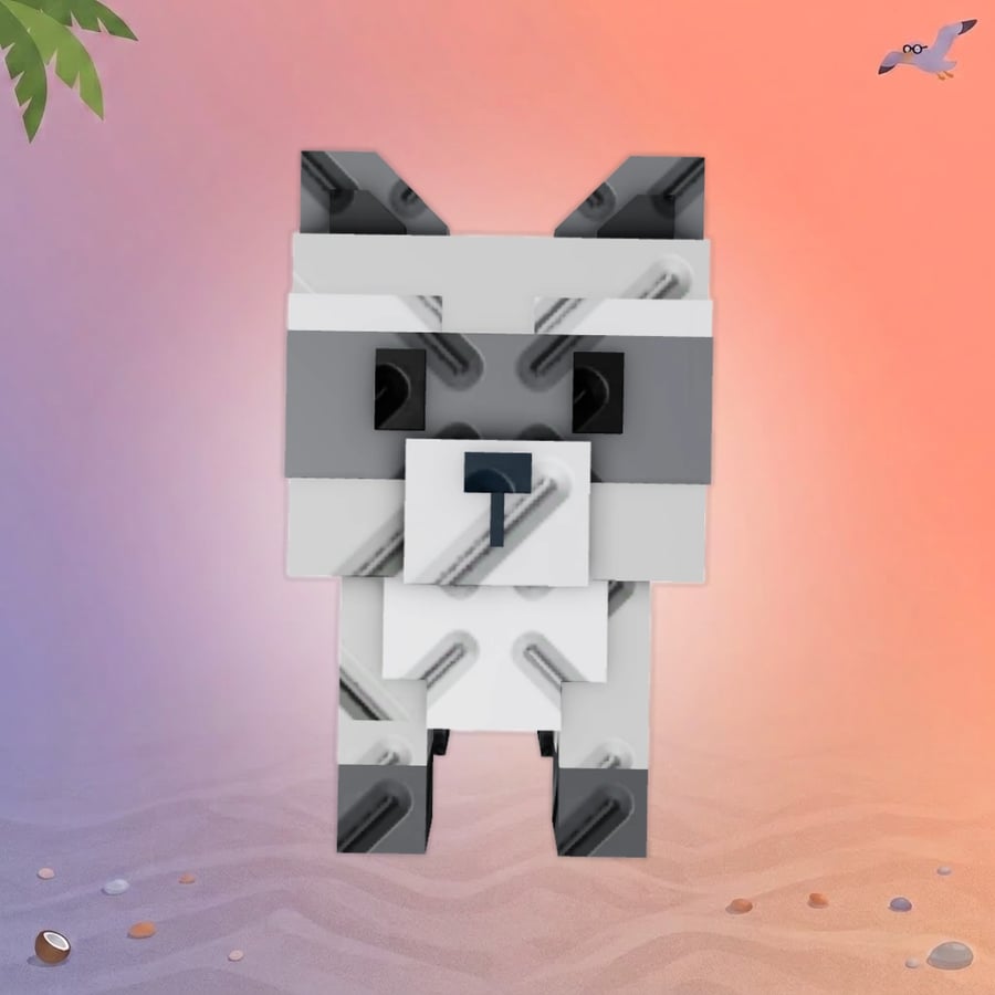 Raccoon