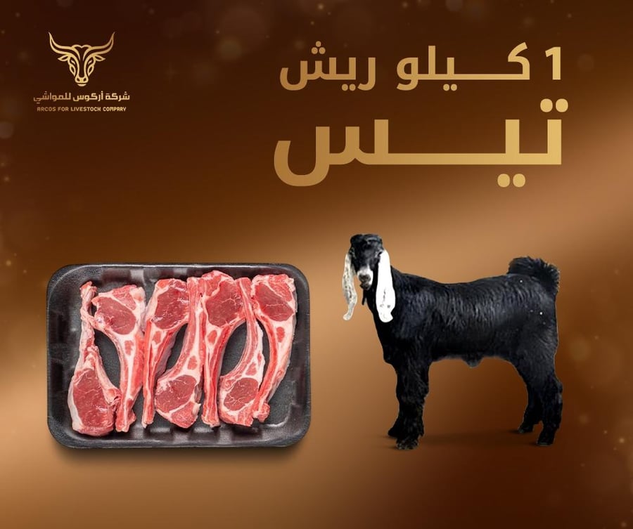 1 كيلو ريش تيس