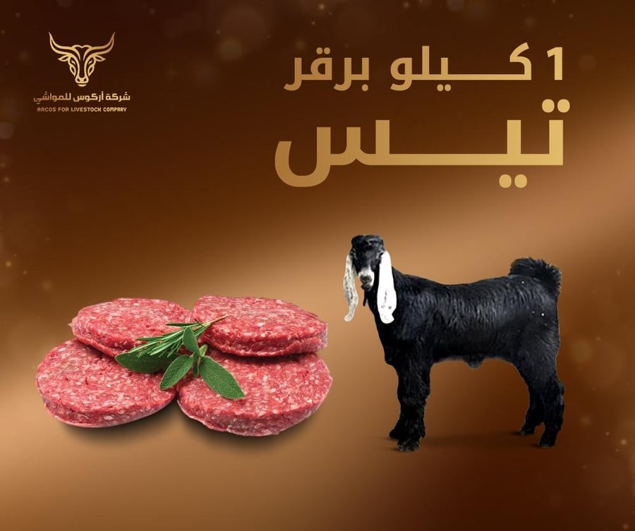 1 كيلو برقر تيس