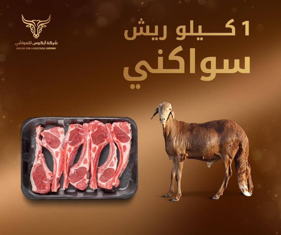 1 كيلو ريش سواكني