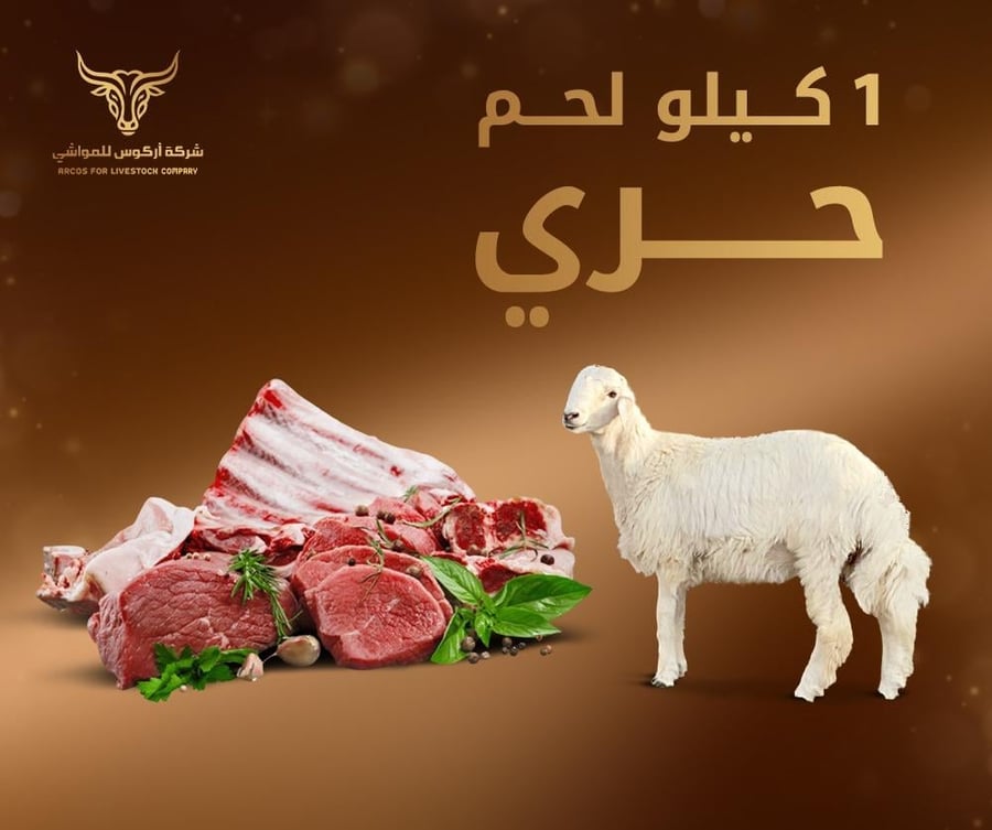 1 كيلو لحم حري
