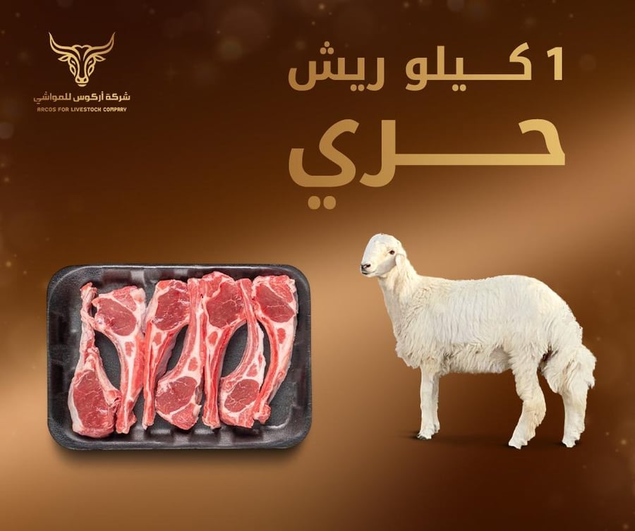 1 كيلو ريش حري