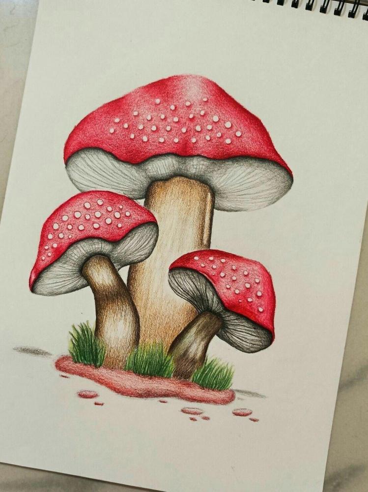 أساسيات الرسم بالألوان الخشبية