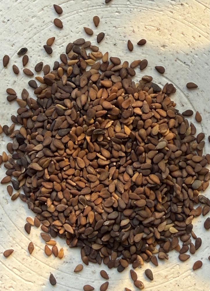 سمسم بني 100gm