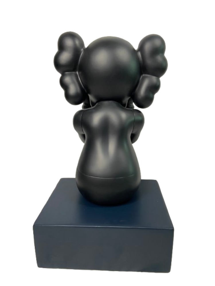 Kaws - 2300009