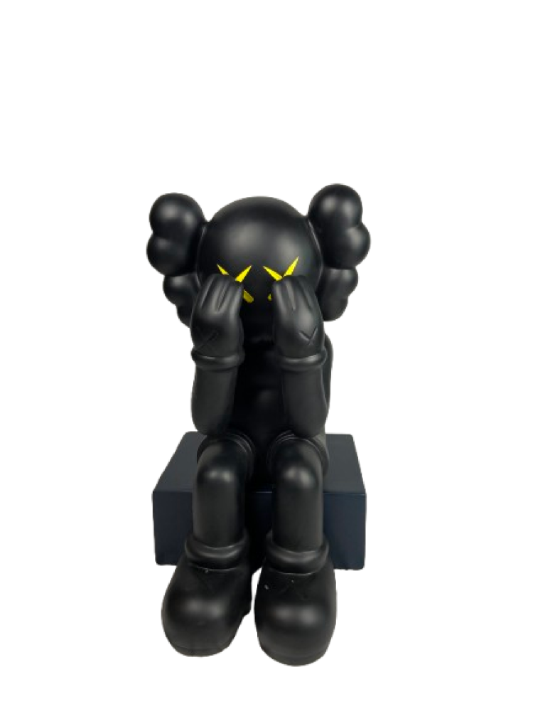 Kaws - 2300009