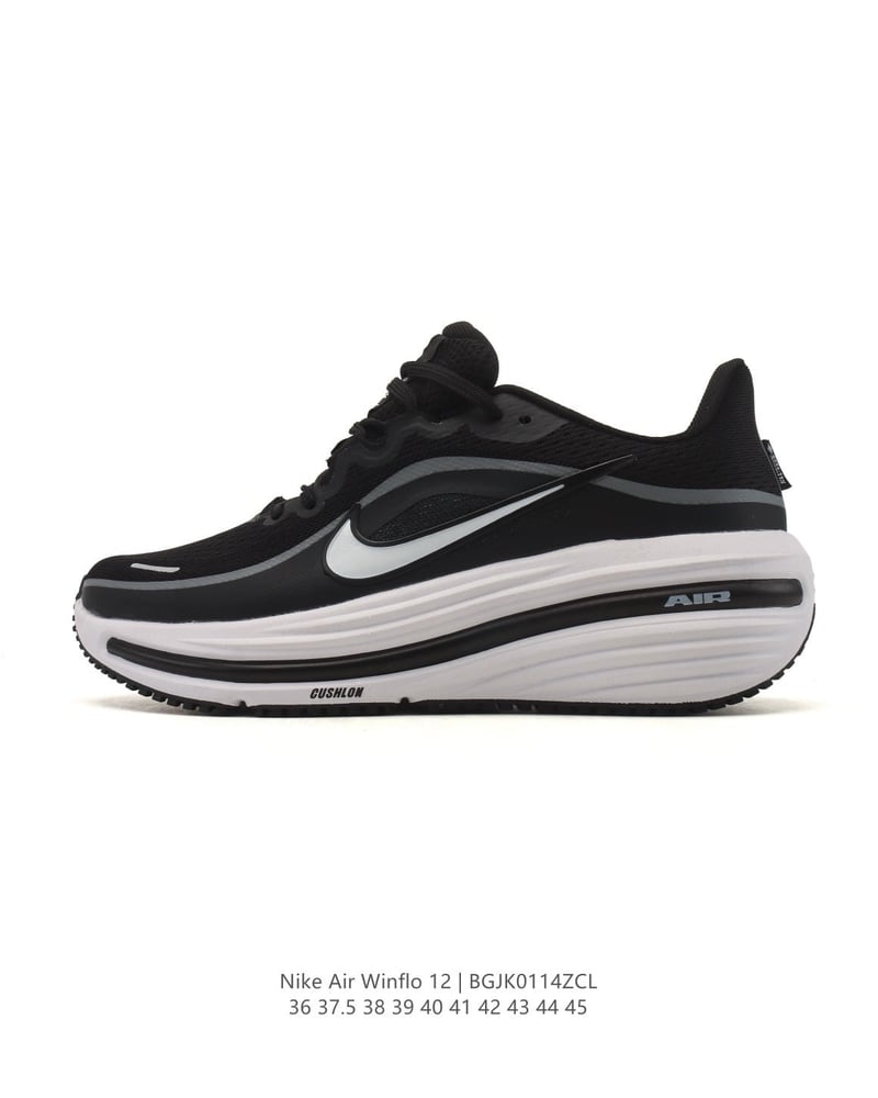Nike Air Winflo 12
