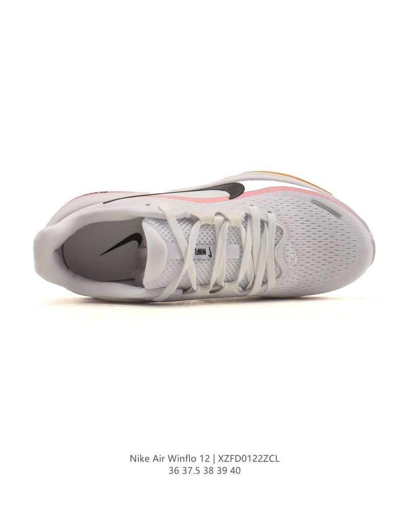 Nike Air Winflo 12