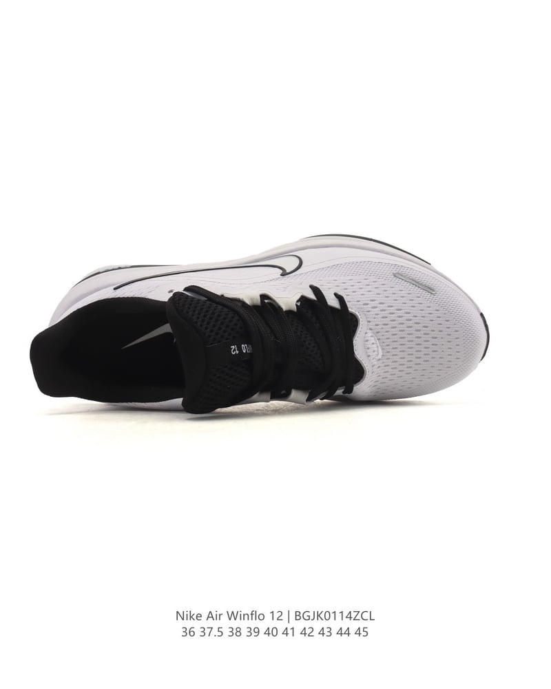 Nike Air Winflo 12