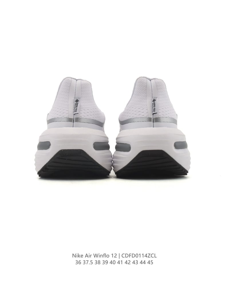 Nike Air Winflo 12