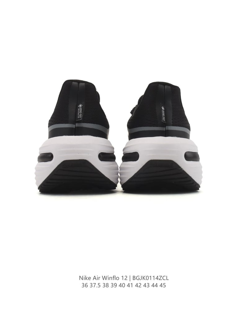 Nike Air Winflo 12
