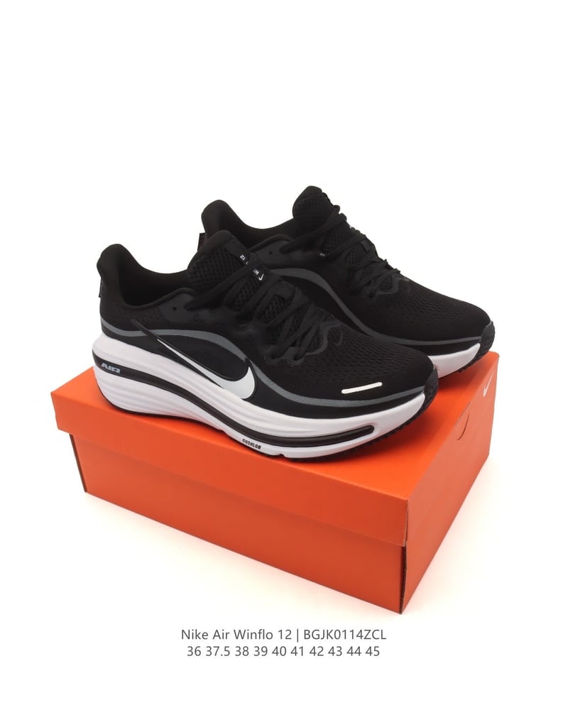 Nike Air Winflo 12