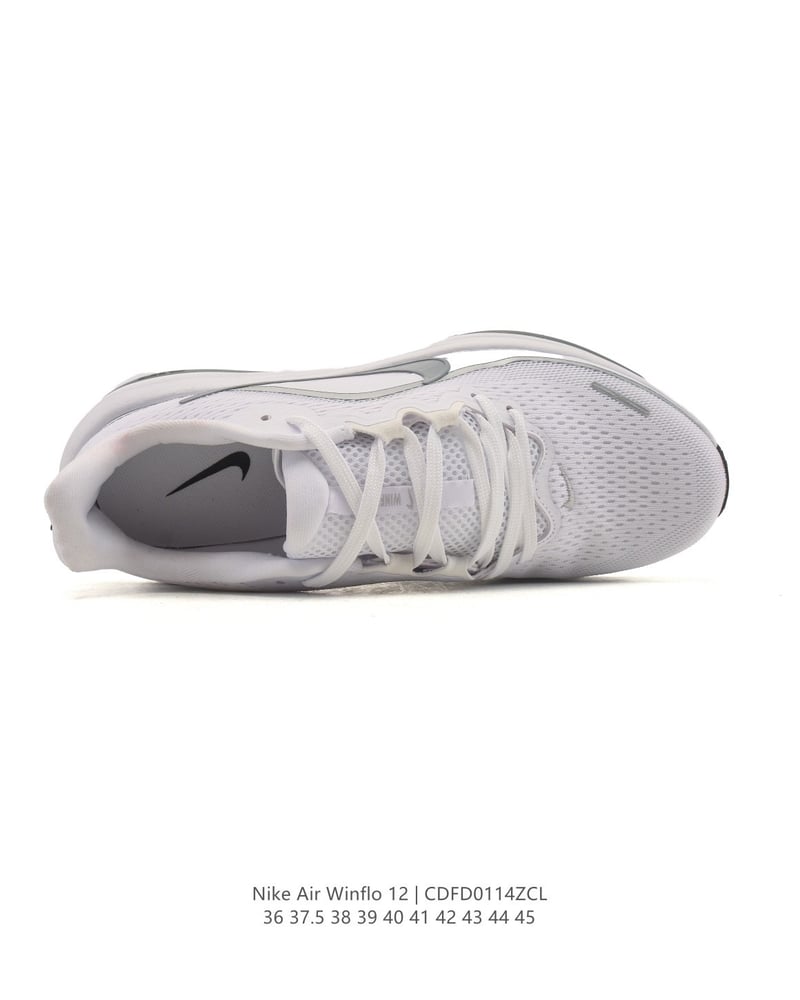 Nike Air Winflo 12