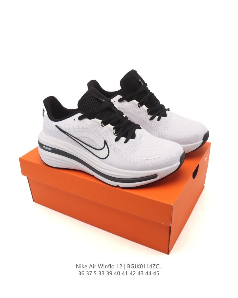 Nike Air Winflo 12