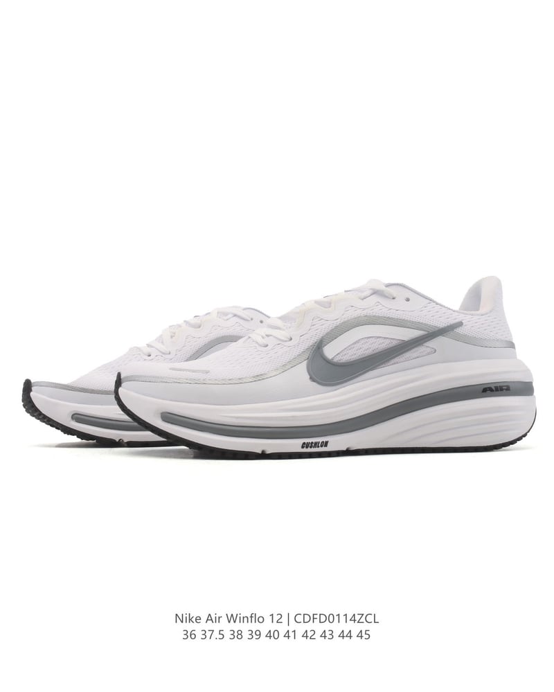 Nike Air Winflo 12
