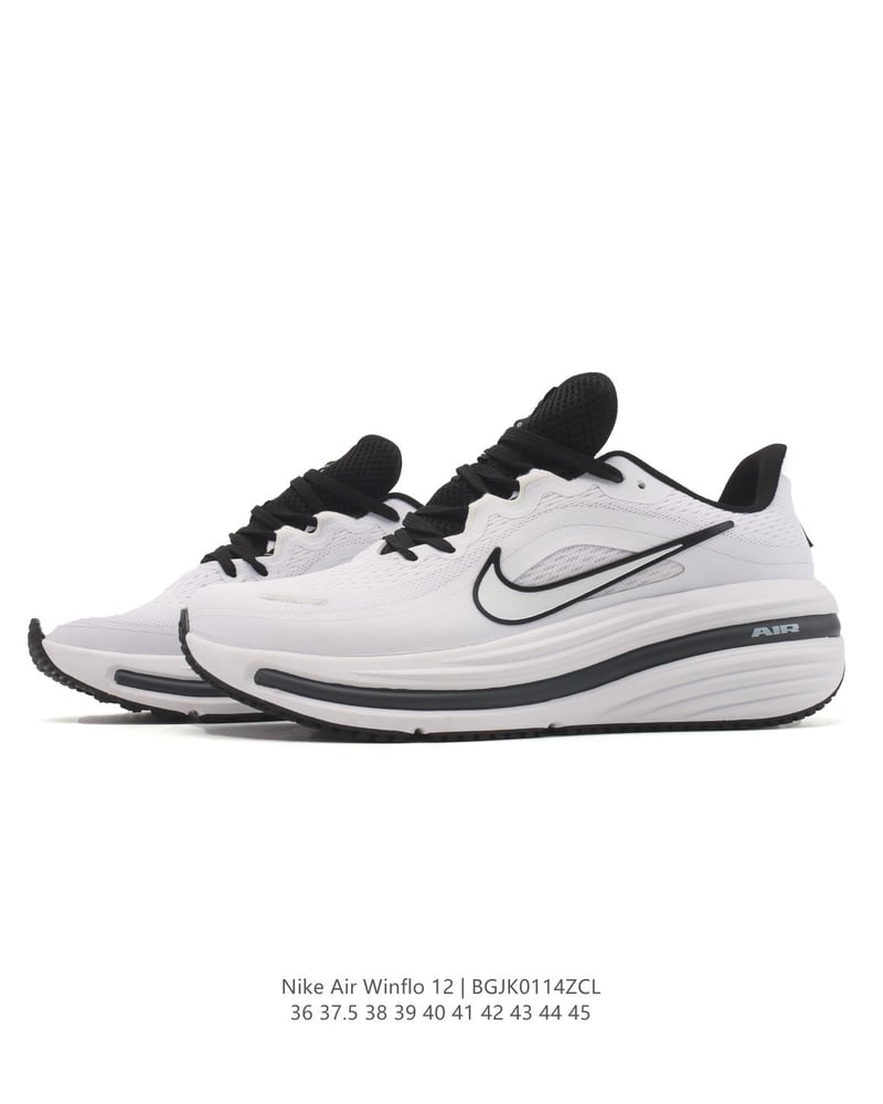 Nike Air Winflo 12
