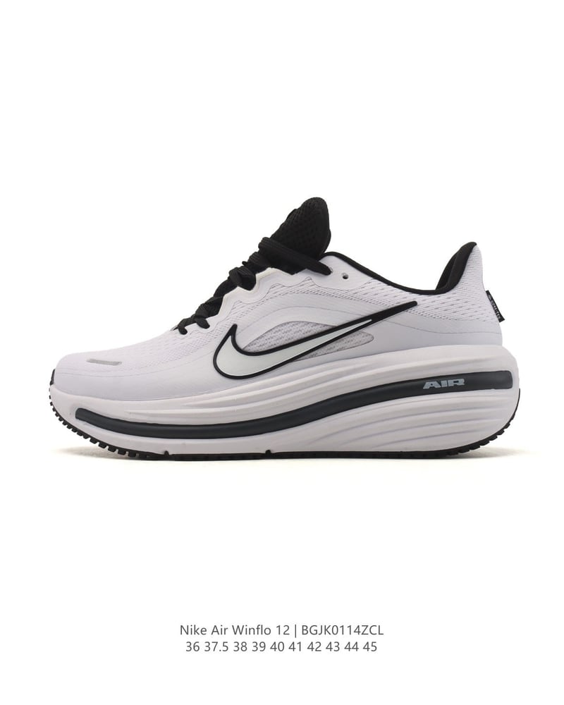Nike Air Winflo 12