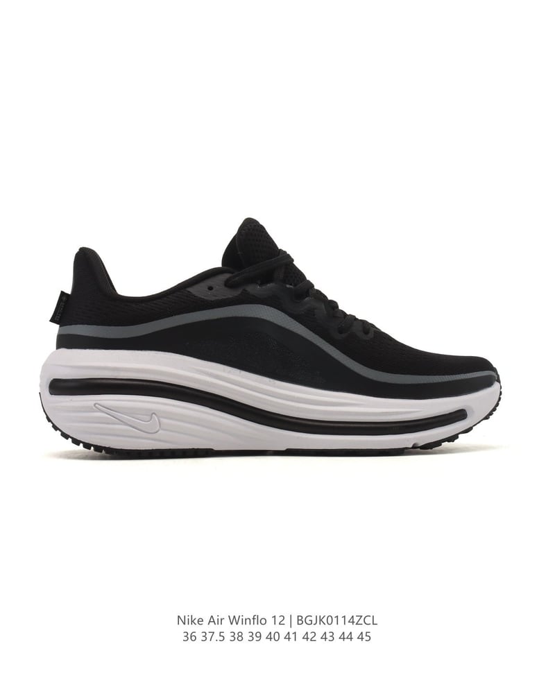 Nike Air Winflo 12