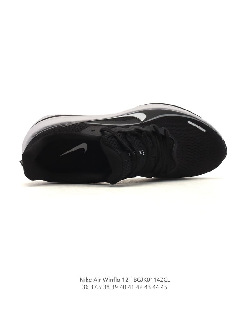 Nike Air Winflo 12