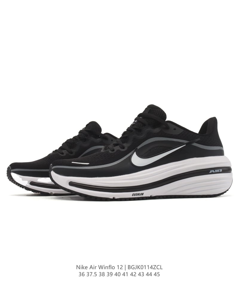 Nike Air Winflo 12