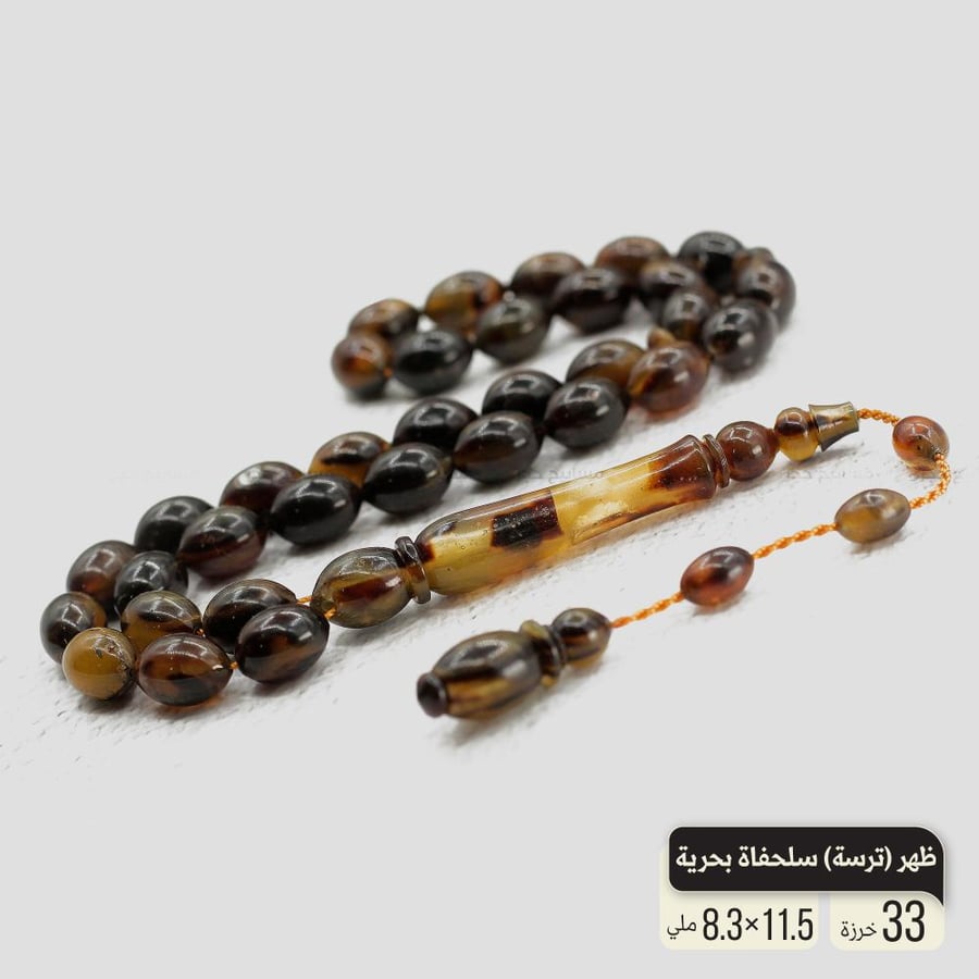 ظهر (ترسة)سلحفاة بحرية