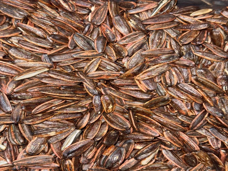حب شمسي مدخن (1 كجم)