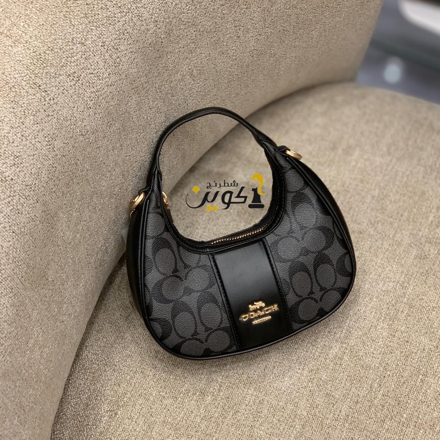 شنطة كوتش