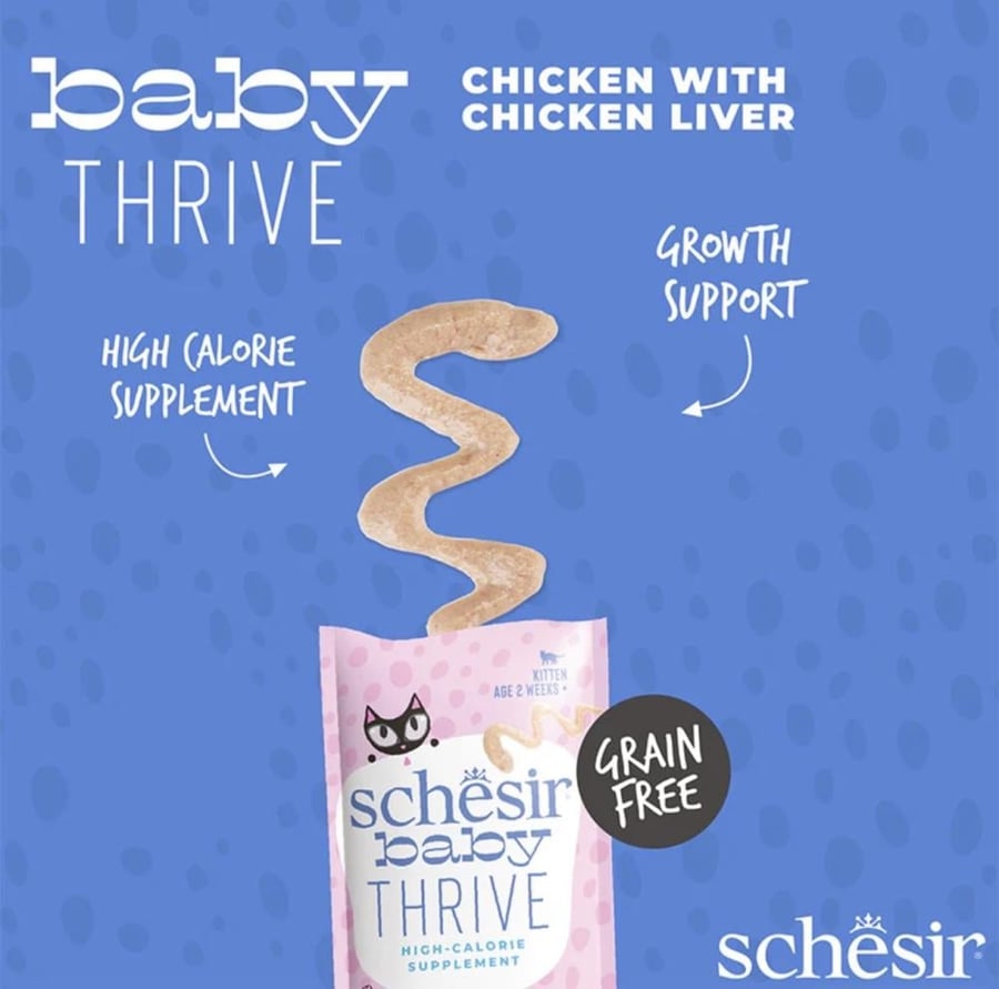 شيزر بيبي ثرايف (Schesir Baby Thrive) - مكمل غذائي عالي الطاقة للقطط الصغيرة بالدجاج وكبد الدجاج (20 ظرف × 8 جم)