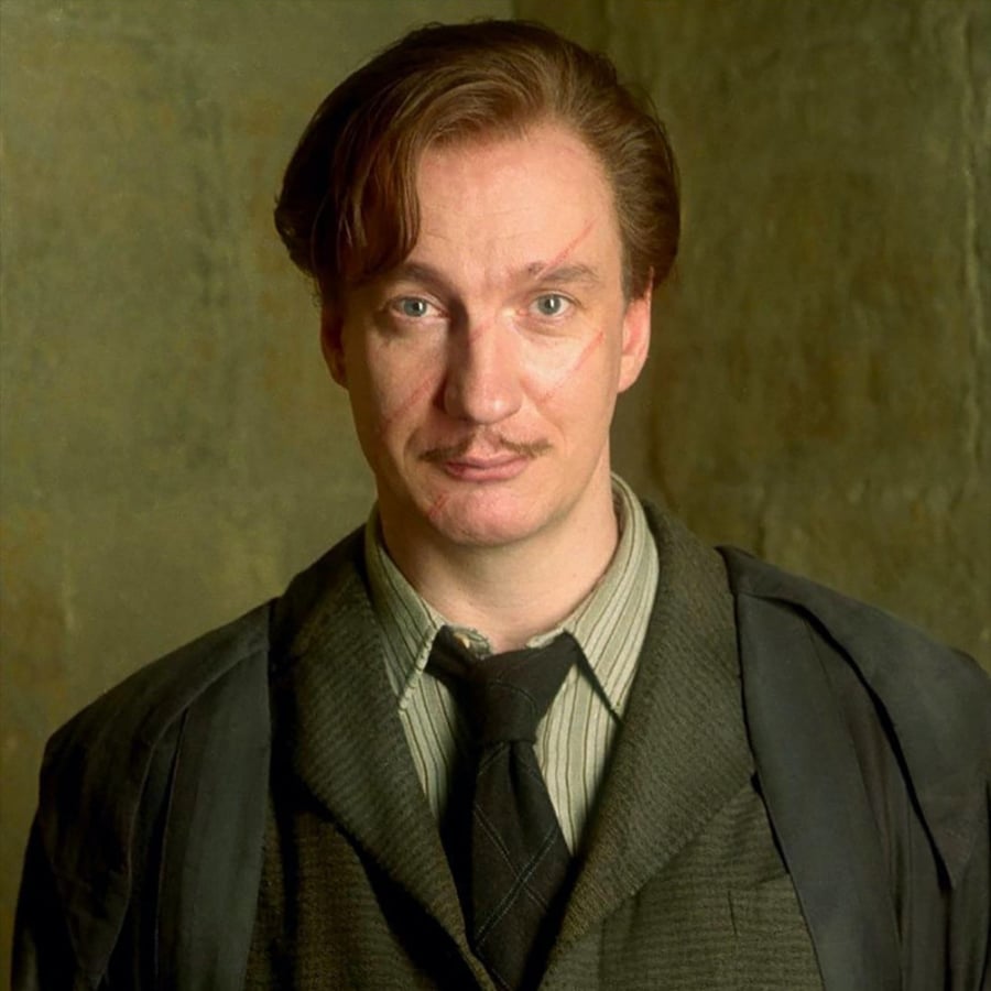 عصا بروفيسور لوبين - Professor Lupin Wand