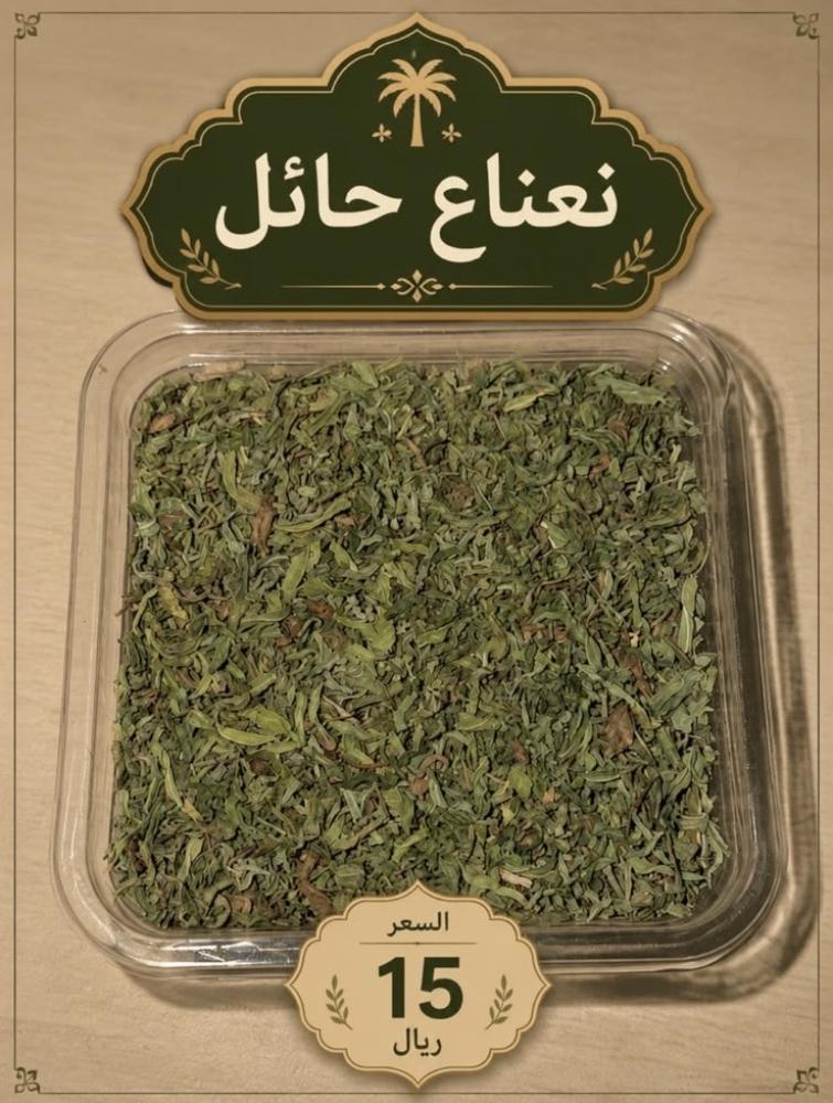 نعناع حائل
