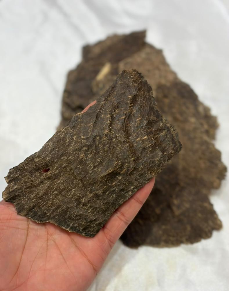 عود تشار سوبر
