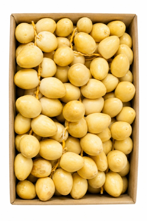 رطب برحي