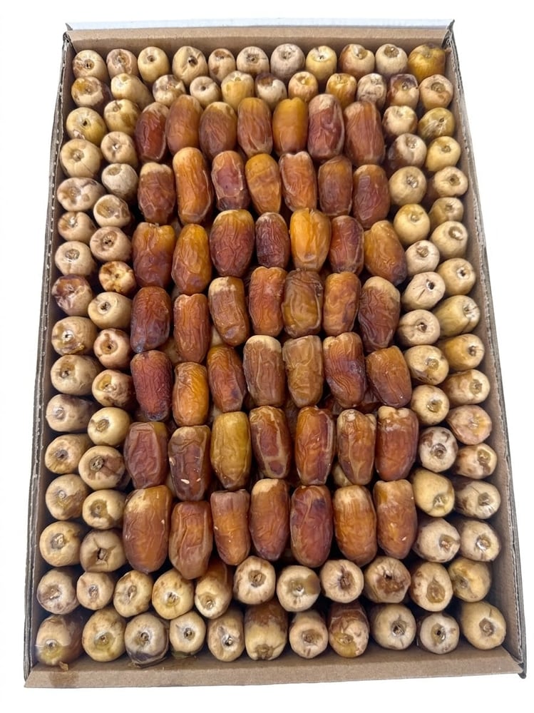 صقعي فاخر