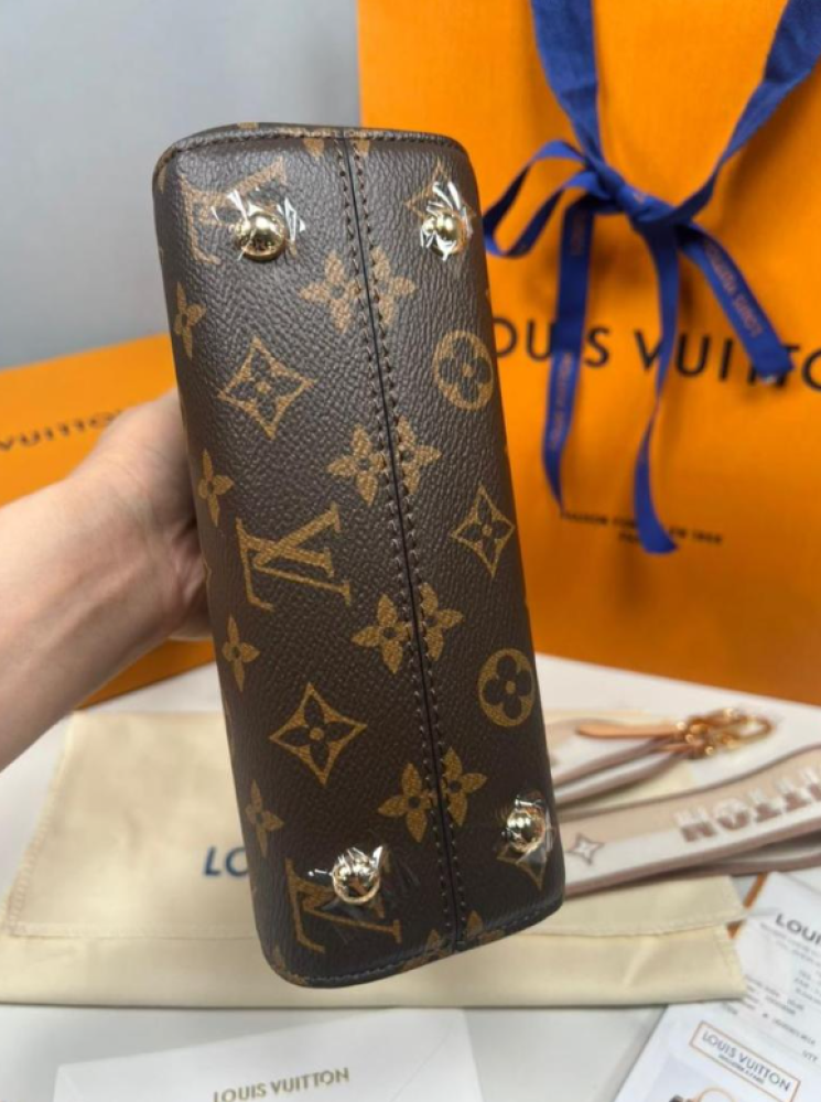 شنطة لويس فيتون Lv Cluny