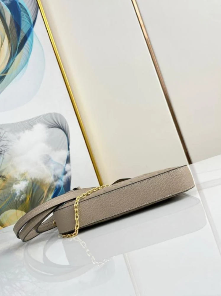 شنطة لويس فيتون Lv easy pouch