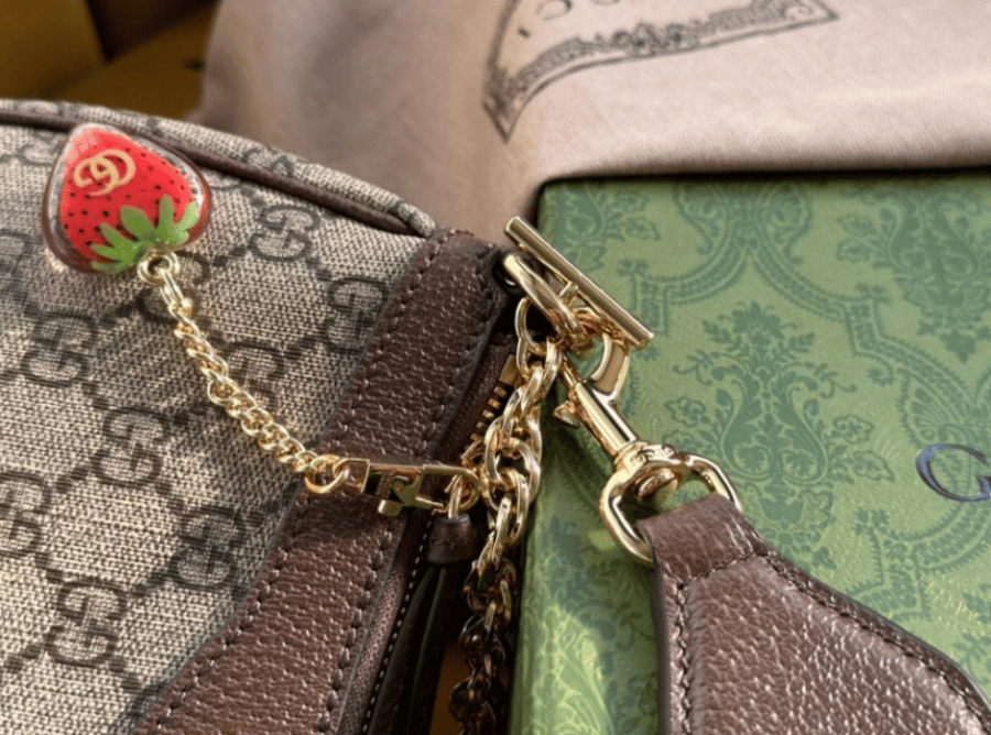شنطة قوتشي Gucci OPHIDIA