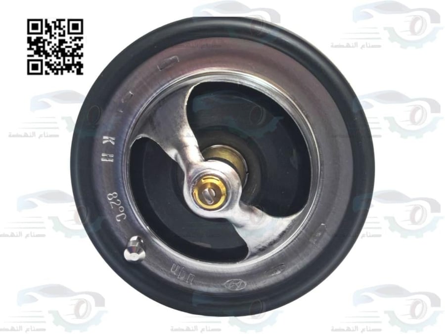 255003C100 Original Azera Thermostat
