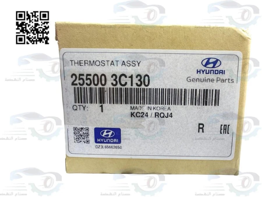 255003C100 Original Azera Thermostat