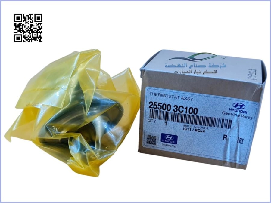 255003C100 Original Azera Thermostat