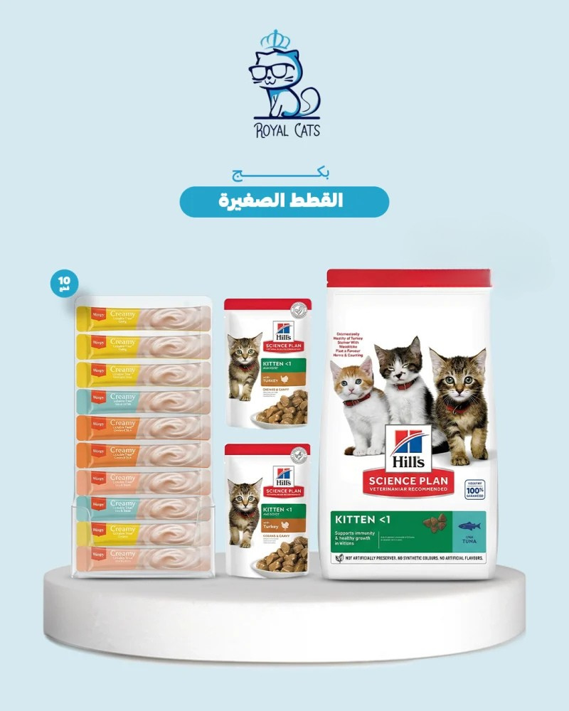 مستلزمات القطط الصغيره