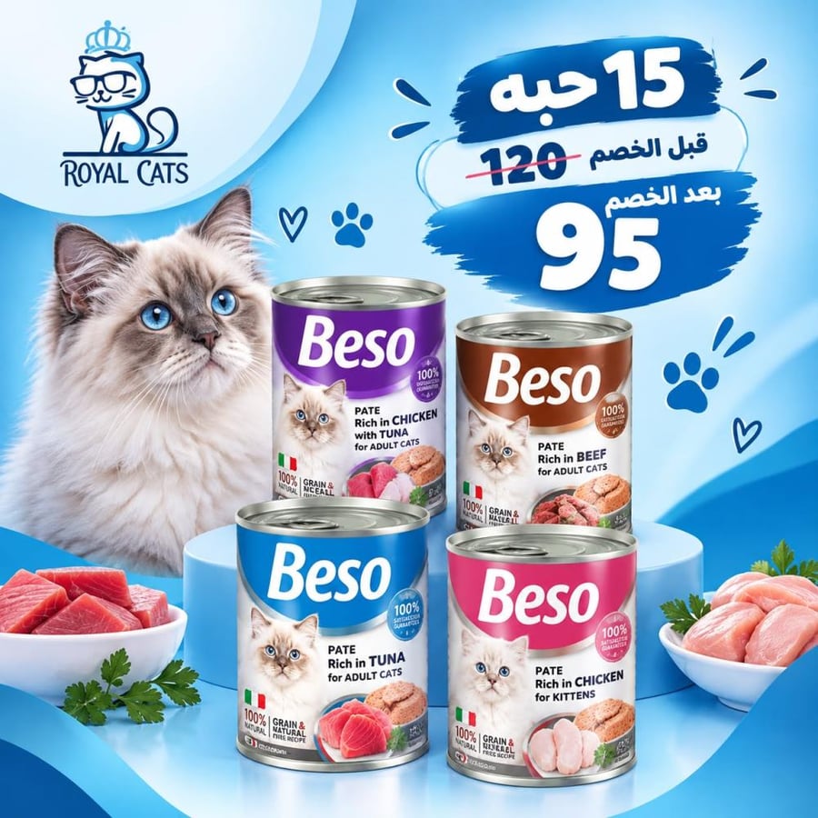 بكج معلبات بيسو 15 علبة 400g