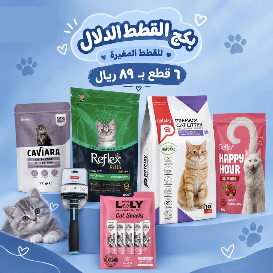 Pampering Kitten Set (6 pieces)