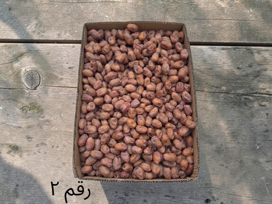 كرتون تمر خلاص الاحساء ملكي رقم٢