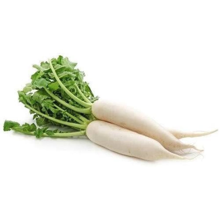 بذور نبات الفجل الابيض ( acanthiformis )
