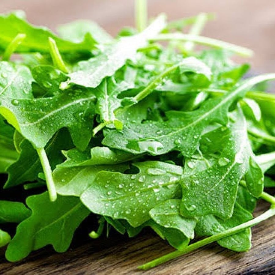 بذور نبات الجرجير ( Eruca Sativa )