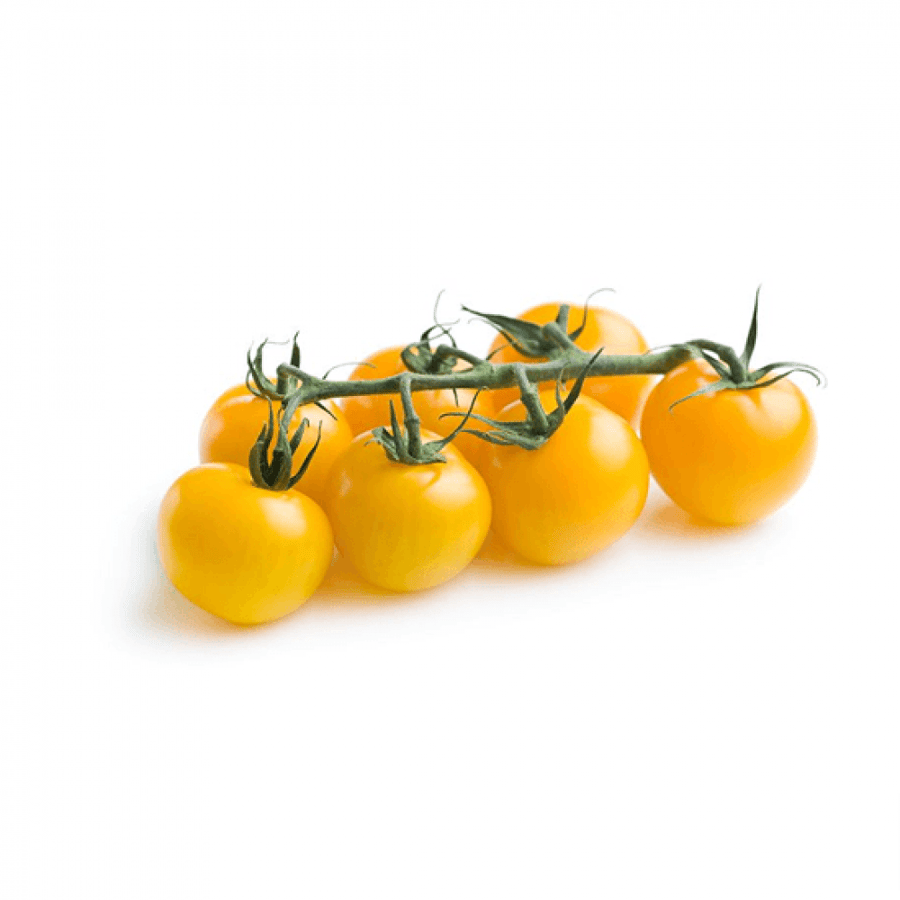 بذور طماطم كرزي - شيري أصفر ( Solanum lycopersicum var )