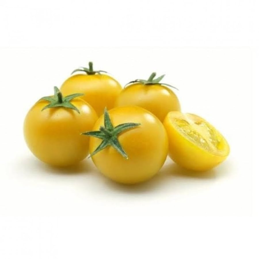 بذور طماطم كرزي - شيري أصفر ( Solanum lycopersicum var )