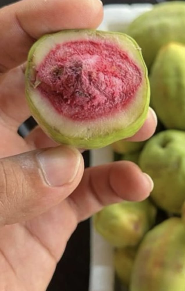لوز الزمرد
